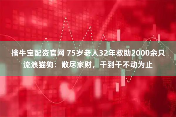 擒牛宝配资官网 75岁老人32年救助2000余只流浪猫狗：散尽家财，干到干不动为止