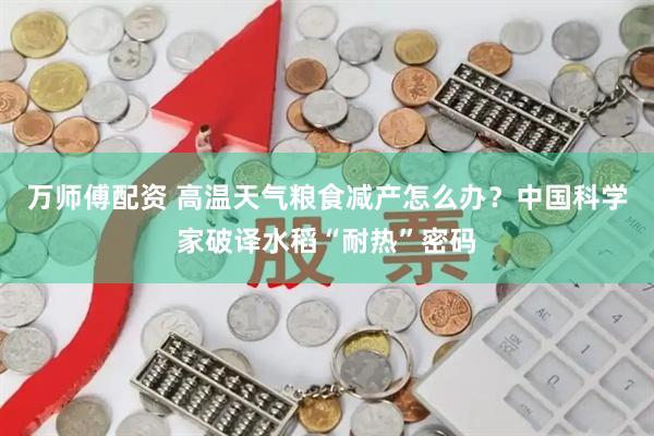 万师傅配资 高温天气粮食减产怎么办？中国科学家破译水稻“耐热”密码