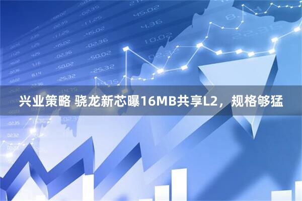 兴业策略 骁龙新芯曝16MB共享L2，规格够猛