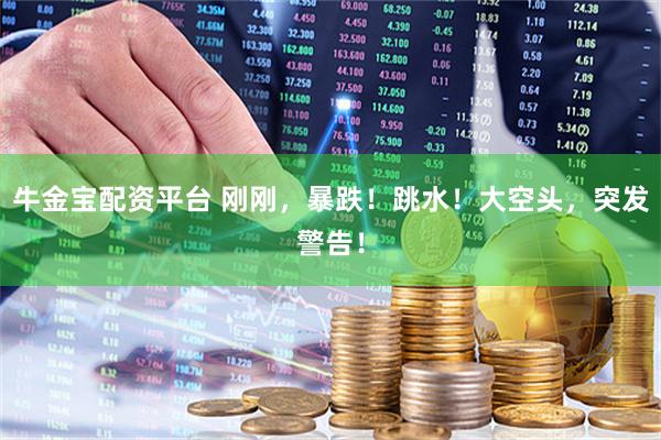 牛金宝配资平台 刚刚，暴跌！跳水！大空头，突发警告！
