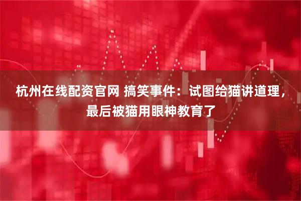 杭州在线配资官网 搞笑事件：试图给猫讲道理，最后被猫用眼神教育了