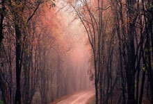 新股票买入技巧:实盘配资-东方财富财经早餐 9月2日周二